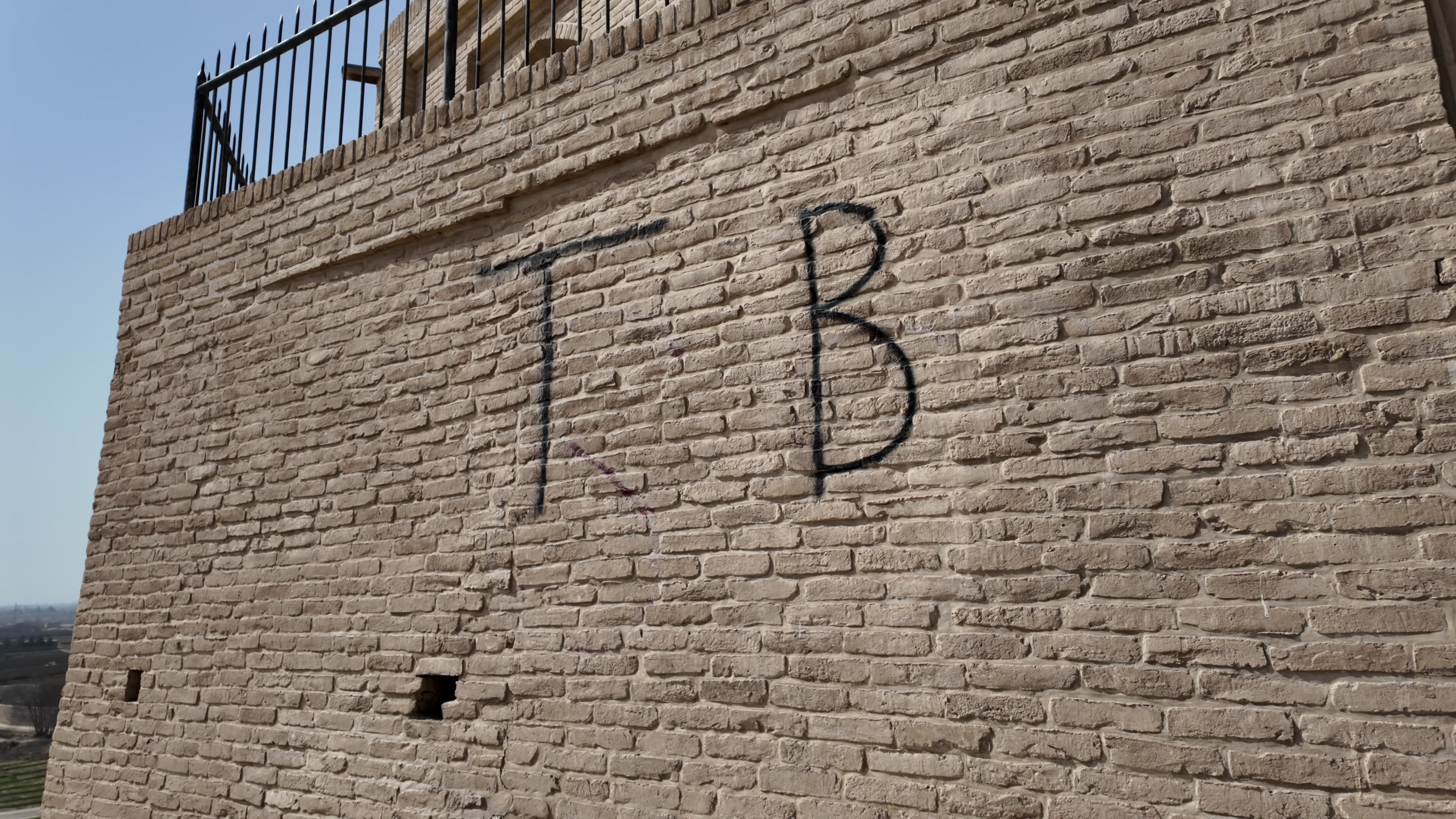 Balkh Walls