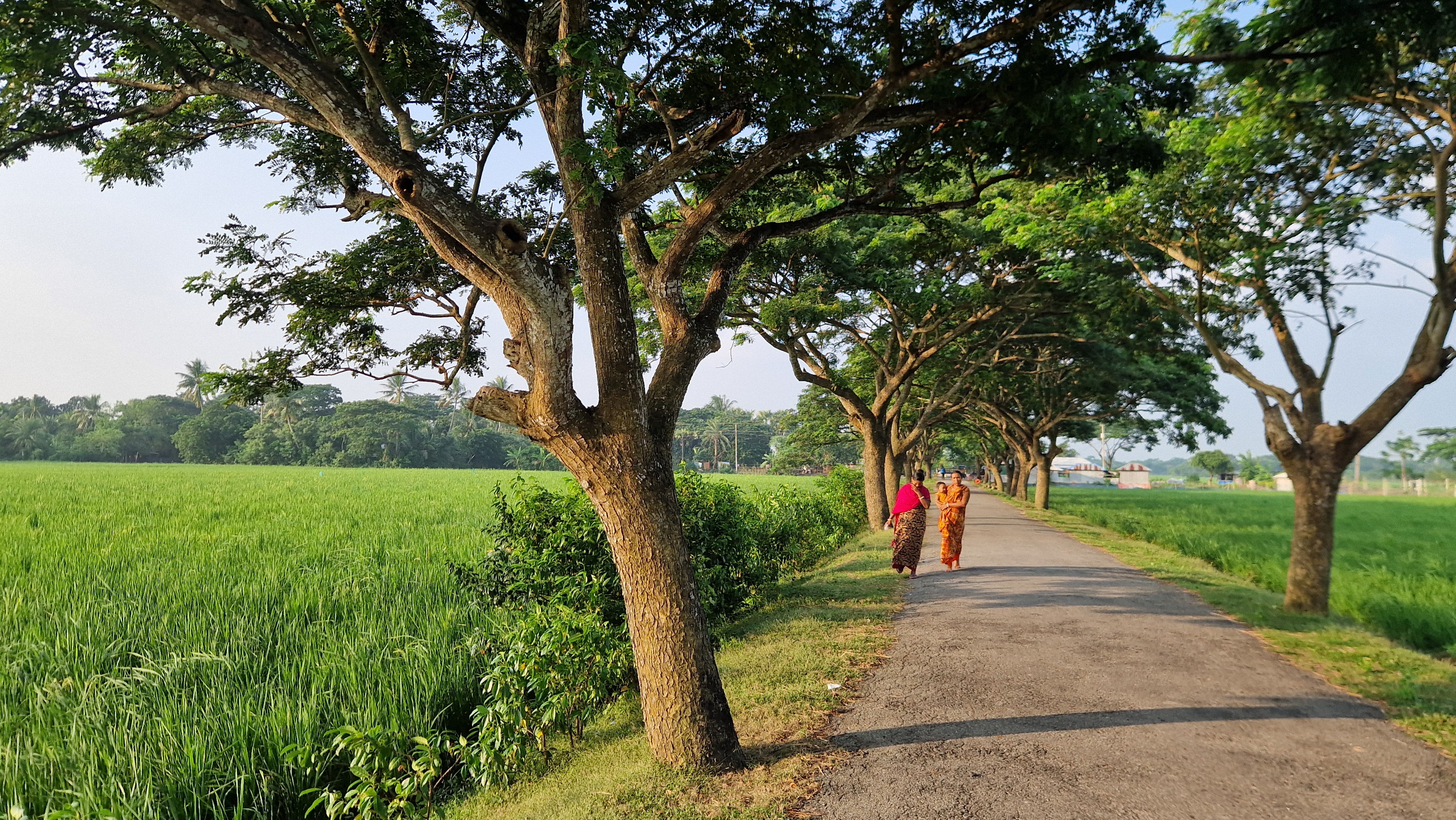 Bangladesh