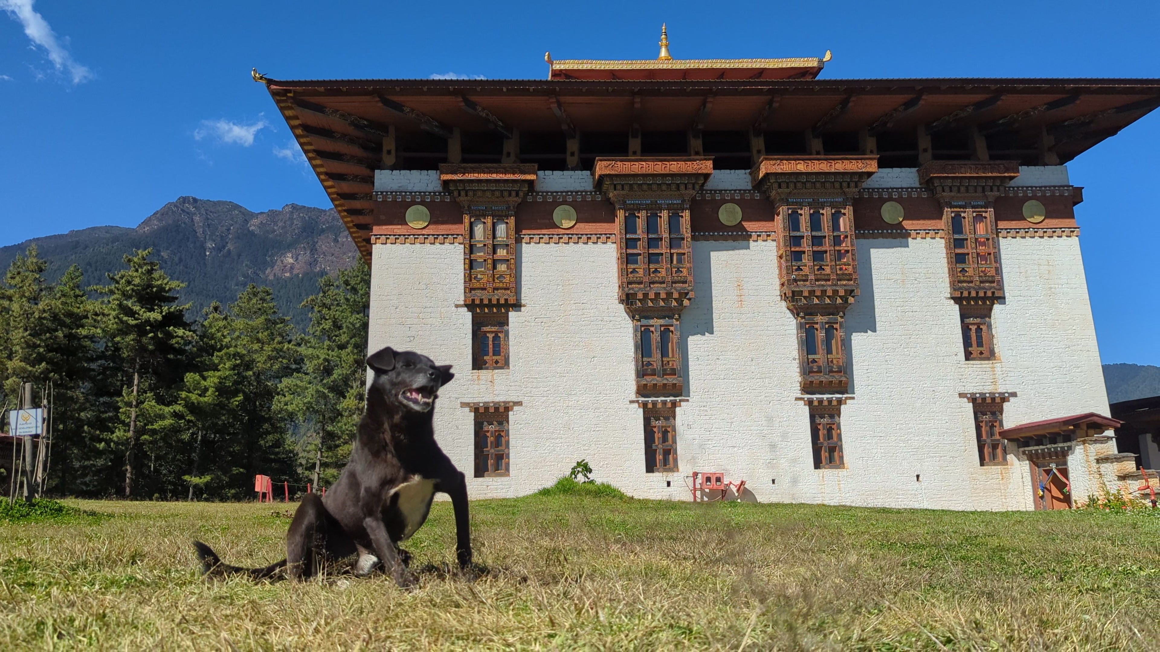 Bhutan Dzhong 3