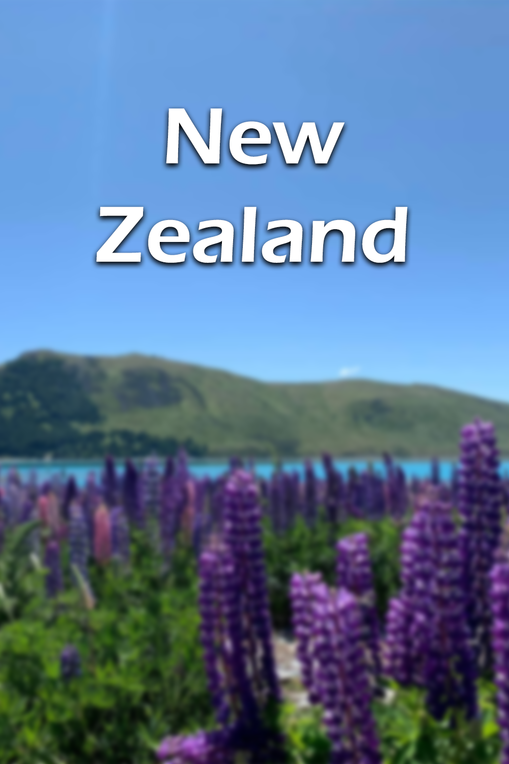 New Zealand poster